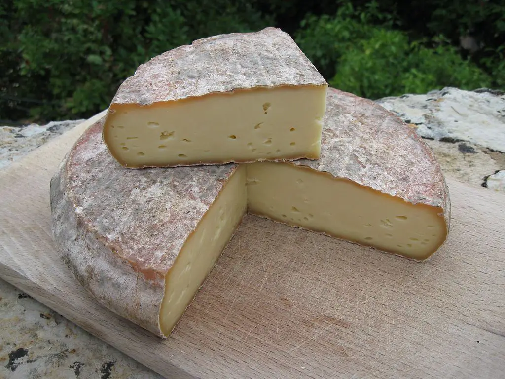 Saint-Nectaire, fromage d'auvergne AOP